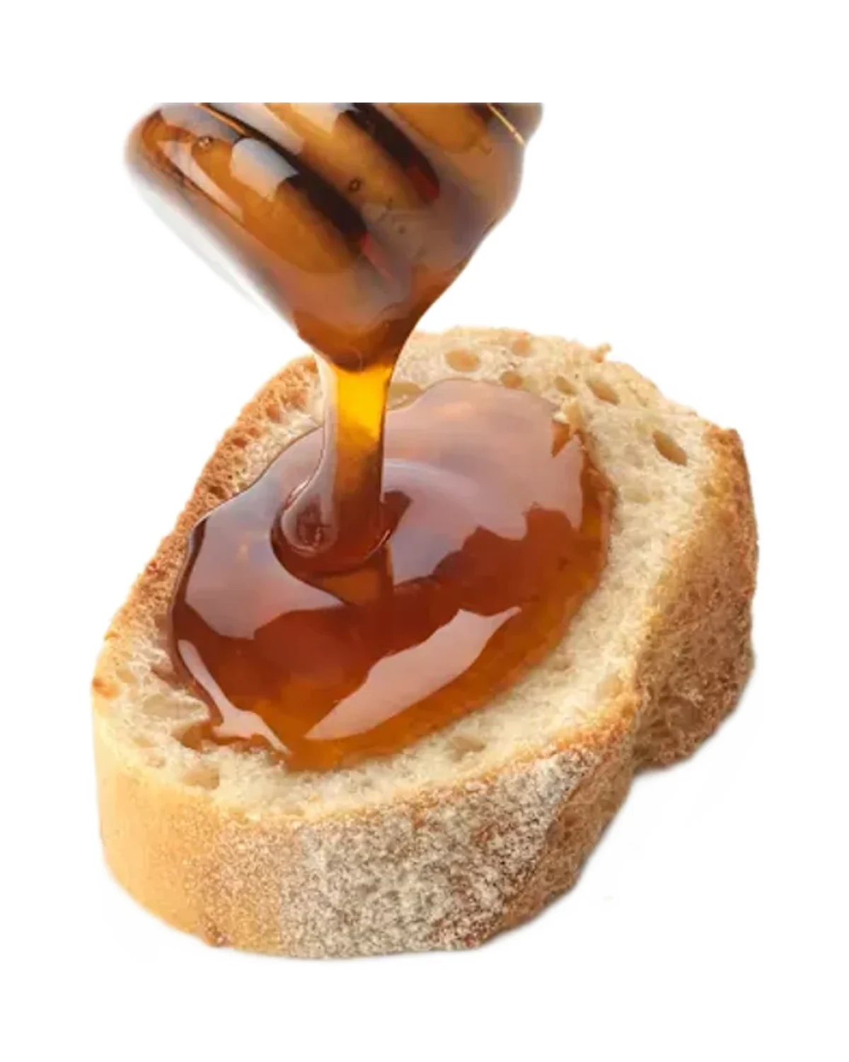dmBio Organic Forest Honey 500 g